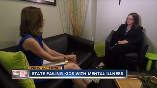 FL Lawmaker: Florida's mental health system needs total revamp