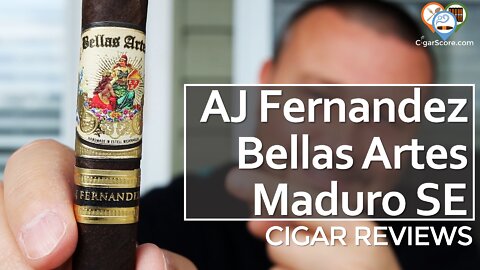 The AJ Fernandez BELLAS ARTES Maduro Lancero Special Edition - CIGAR REVIEWS by CigarScore