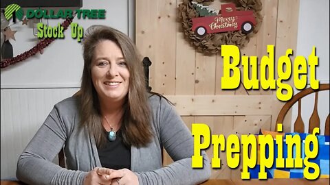 $25 Budget Prepper Pantry Stock Up Haul from Dollar Tree