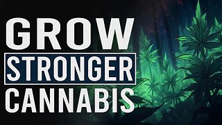 Make Your Cannabis WAY STRONGER!