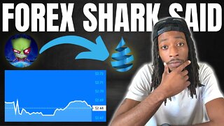 Forex Shark Said This About The Drip Price!