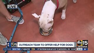 Homeless outreach group offering help to dogs