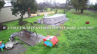 Tree and Fence fall in storm.