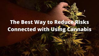 The Best Way to Reduce Risks Connected with Using Cannabis