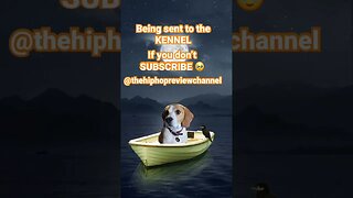 FOLLOW Albie #support #independentartists #hiphopreview #trending #beagle #rapcommunity #podcast