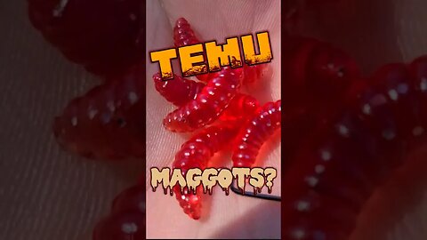 Temu Sells Maggots?! #Temu #fishing #shorts
