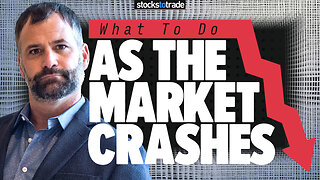 What To Do as the Market Crashes