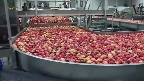 How Apples Are Made Apple Factory