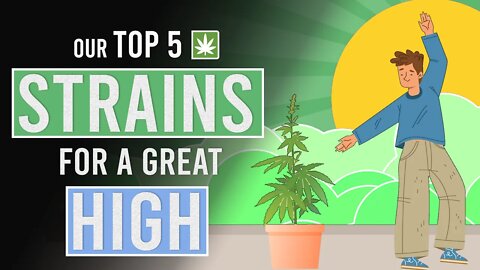 Our Top 5 Weed Strains for a Great High!