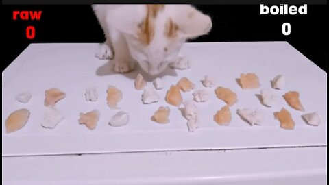 Raw or boiled meat can a hungry kitten will choose one of them