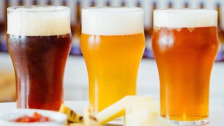 The 3 Absolute Best Breweries Across America