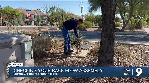 Checking your back flow assembly
