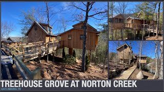 Treehouse Grove at Norton Creek