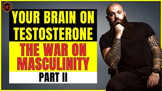 Your Brain On Testosterone - The War on Masculinity Part II