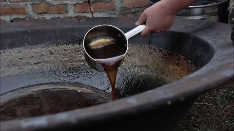 Making Sugar Cane Syrup with Ben in Lower Alabama (Motorized Mill & Batch Processing on a Wood Fire)