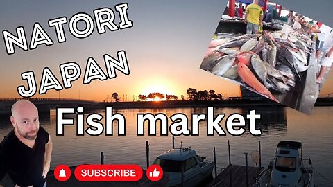 Today we go to a Fish market in Japan