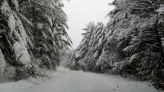 Driving in a Winter Wonderland Snow Storm 2022 - Blizzard -