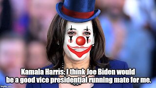 Kamala Harris: Joe Biden can be my vice president