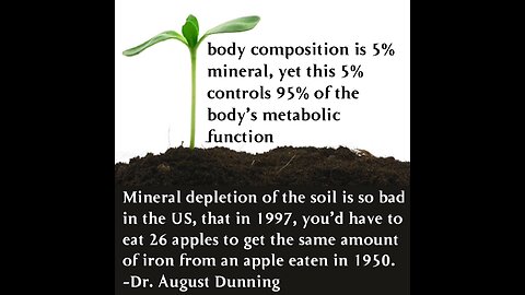 minerals comprise 5% body composition yet they control 95% of all metabolism