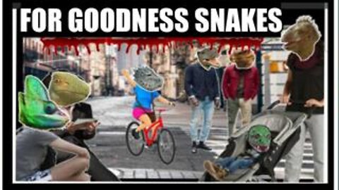 FOR GOODNESS SNAKES