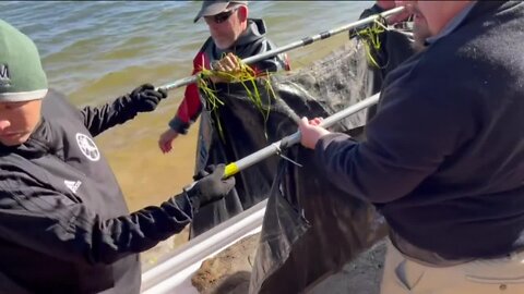3,000-year-old canoe recovered from Lake Mendota in Madison; second ancient canoe to be found