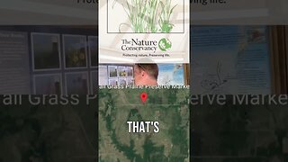 Restoring a Lost Ecosystem: The Tallgrass Prairie Preserve in the Flint Hills