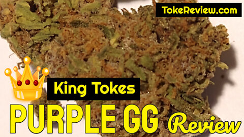 King Toke's Review of the Purple GG Marijuana Strain Grown By Sugar Tree Farm LLC