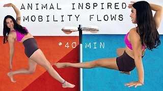 ANIMAL INSPIRED MOBILITY WORKOUT 🐒