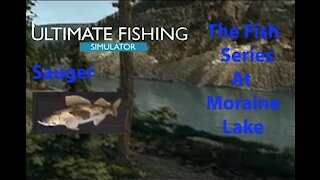 Ultimate Fishing Simulator: The Fish - Moraine Lake - Sauger - [00054]