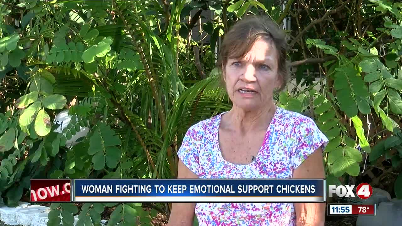 Fort Myers woman fighting to keep her emotional support chickens