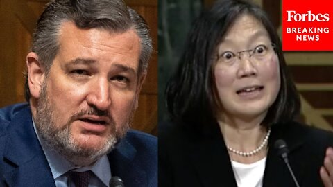 'Why Did You Get It So Wrong?': Ted Cruz Presses Judicial Nominee On COVID-19 Restrictions