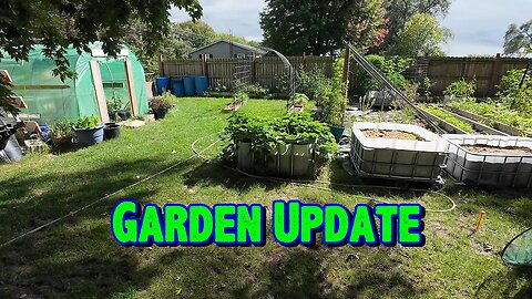 Garden Update 9/10/2023