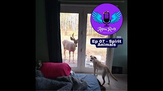 07 - Spirit Animals