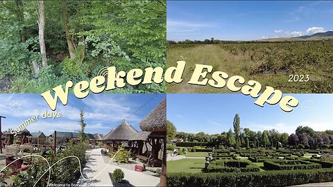 Weekend getaway in Hunedoara County. Berryland & Zoe's Gardens. Day in the life of a web designer