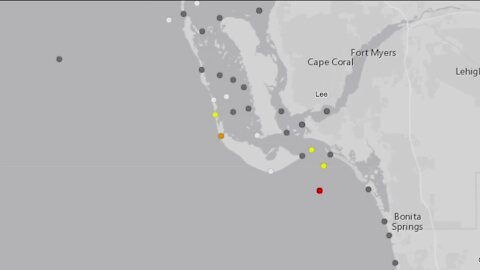 Red Tide is spreading across SWFL coasts, and it's not clear what's causing it