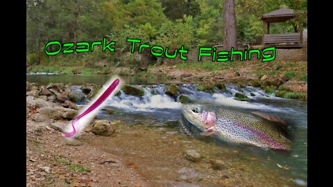 Ozark trout Fishing