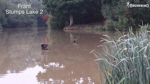 Catch Carp on the Pellet Feeder - Autumn Match Fishing Tactics