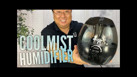 Honeywell HUL520B Mistmate Cool Mist Room Humidifier Review