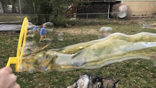 Extra colorful bubble stream is mesmerizing on a breezy day