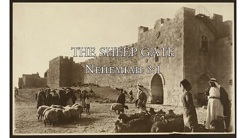 The Sheep Gate (Nehemiah 3:1)