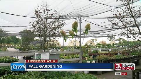 Fall Gardening Tips