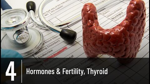 Episode 4 - Hormones & Fertility, Thyroid
