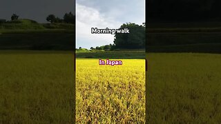 My #morning #walk in #japan