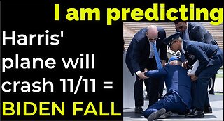 I am predicting: Harris' plane will crash on Nov 11 = BIDEN'S FALL PROPHECY