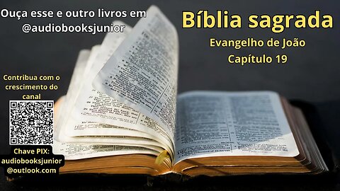 Bíblia Sagrada - Evangelho de João - Capítulo 19