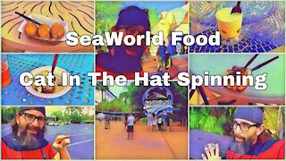 Finishing SeaWorld Seven Seas Food Festival | Cat in the Hat Spinning