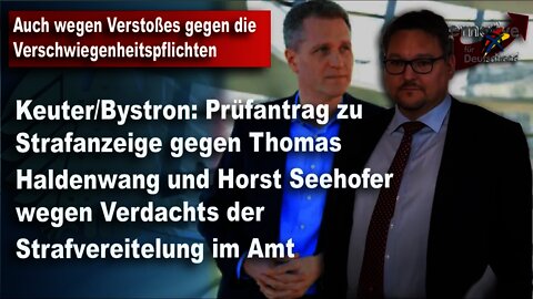 Strafanzeige gegen Thomas Haldenwang und Horst Seehofer wegen Verdachts der Strafvereitelung im Amt