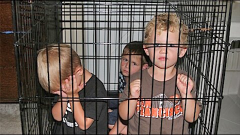 Covid Cages For Kids? Made To Look Like Staring At Prison Bars? More Prisoner "Lockdown" Training?