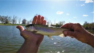 Lake Fly Fishing And Trout Mania!
