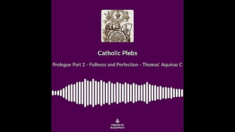 Prologue Part 2 Fullness and Perfection Thomas Aquinas Commentary on John Soundbite